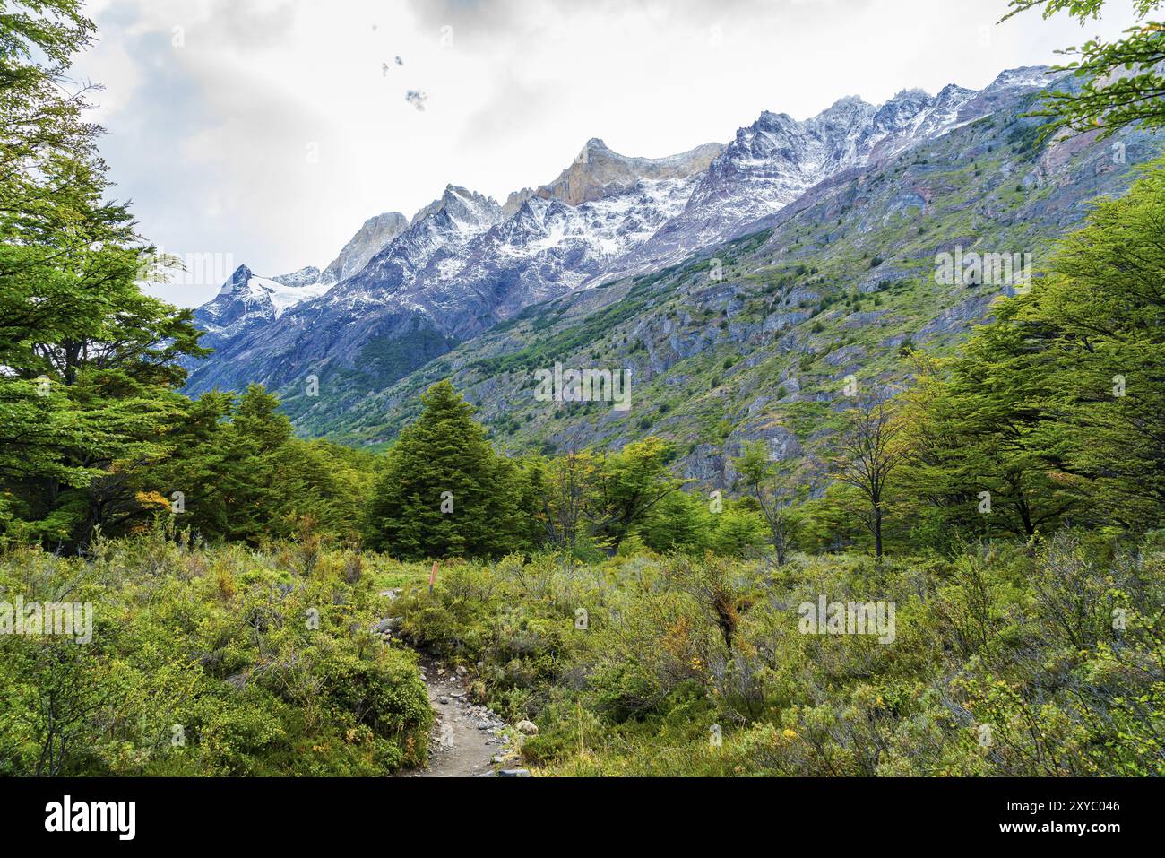 Magnifique paysage naturel au parc national de Torres del Paine dans le sud de la Patagonie chilienne, Chili, Amérique du Sud Banque D'Images