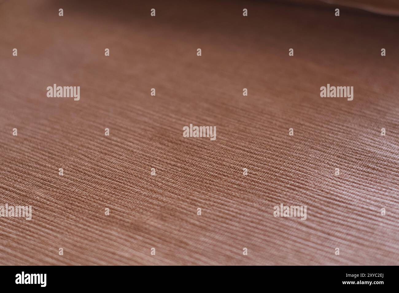 lignes marron Banque D'Images