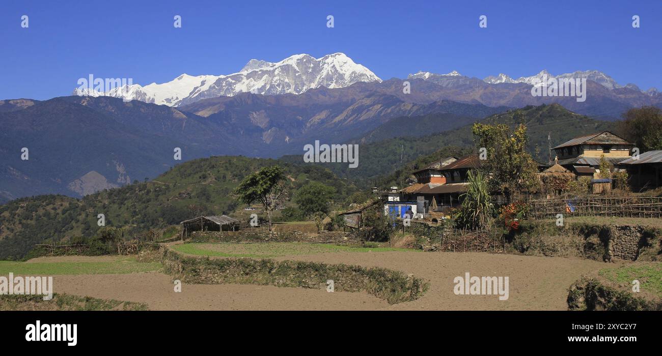 Champs et enneigés chaîne Annapurna. Scène sur le chemin de Ghale Gaun, Népal, Asie Banque D'Images Champs et enneigés chaîne Annapurna. Scène sur le chemin de Ghale Gaun, Népal, Asie Banque D'Images