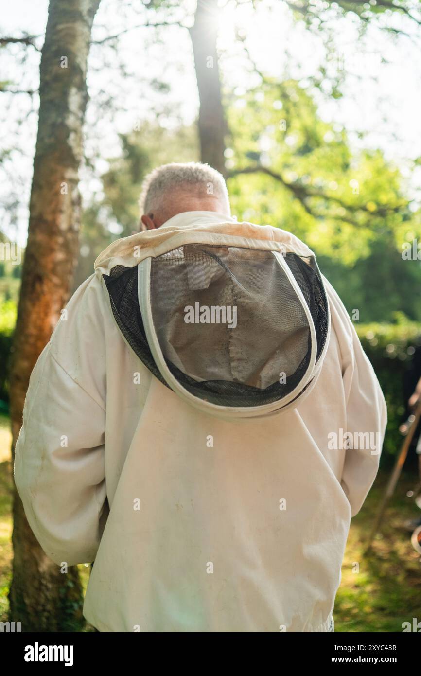 Apiculteur se préparant à l'apiculture les abeilles avec costume à capuche blanc dans la lumière du soleil d'été à l'extérieur dans Green nature Banque D'Images
