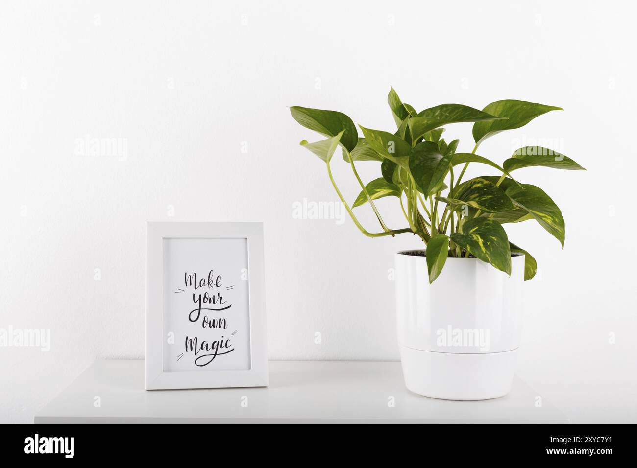 Golden pothos ou lierre du Diable en blanc avec cadre photo flowerpot moderne une faire votre propre magie Banque D'Images