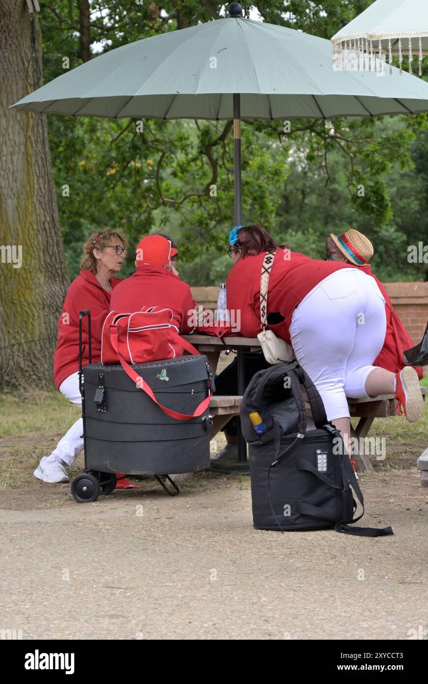 groupe de femmes plus âgées le jour, heveneingham, suffolk, angleterre Banque D'Images