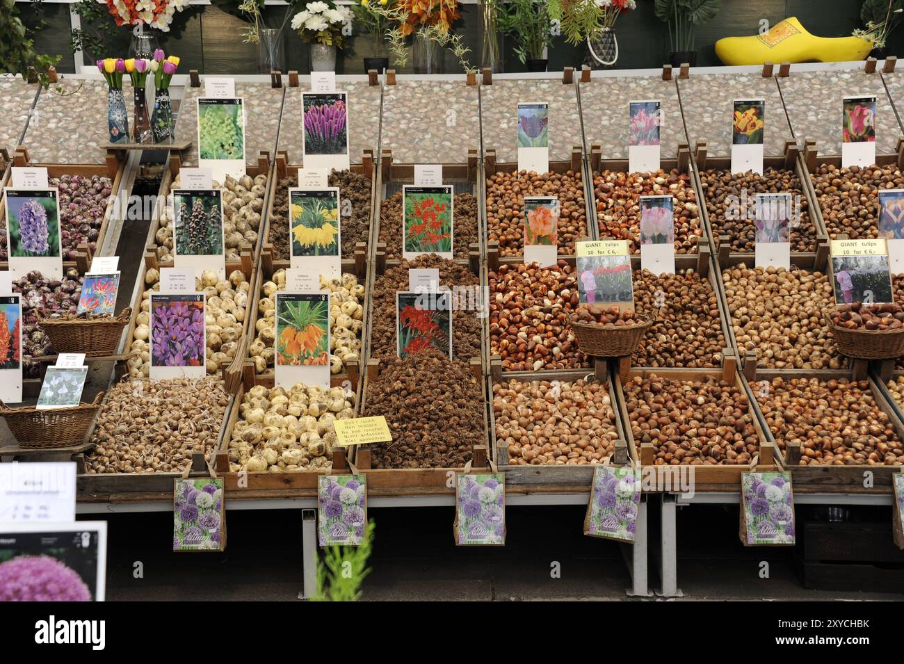 Détails des stands de bulbe au marché aux fleurs à Amsterdam, Hollande Banque D'Images