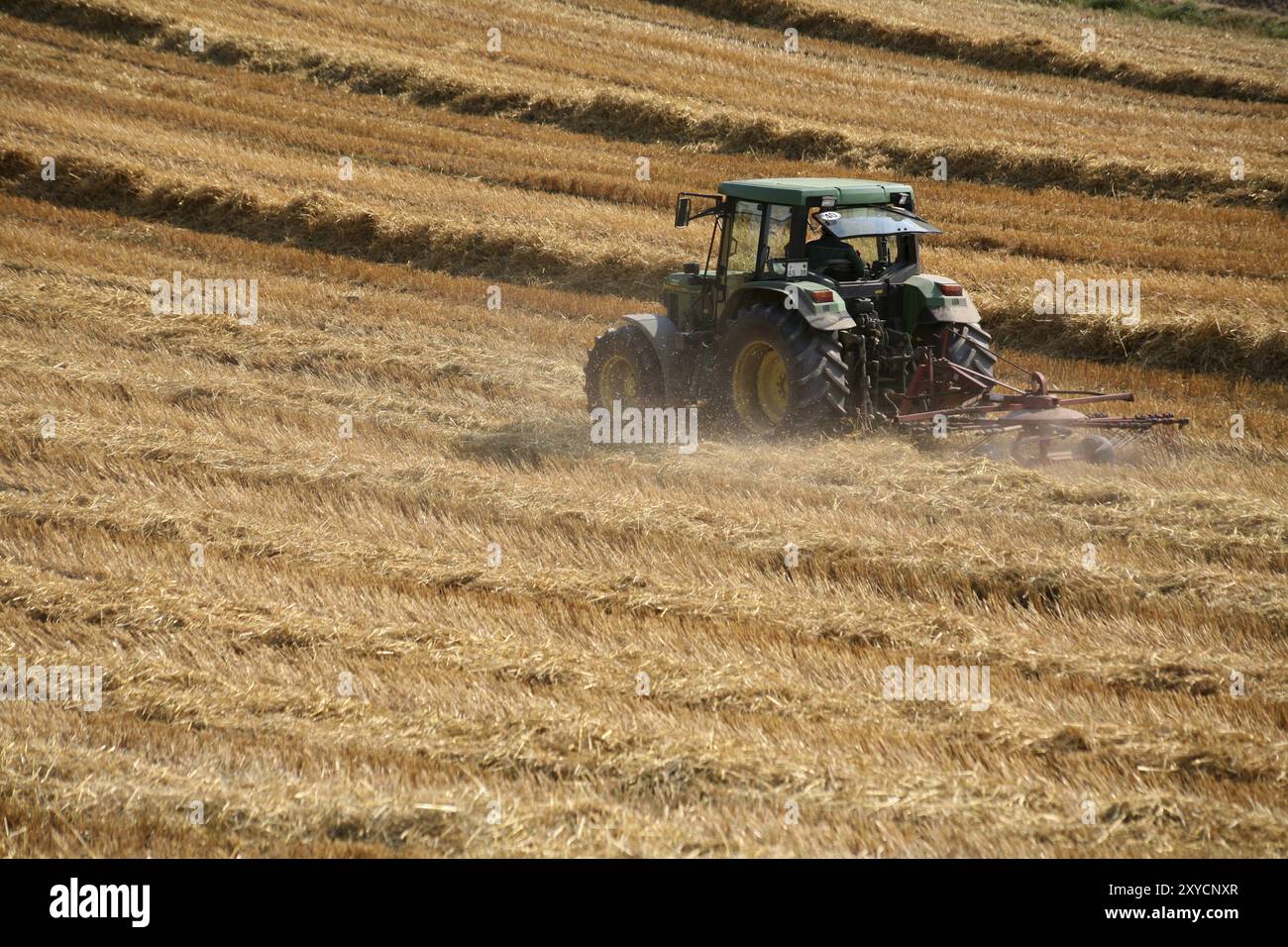 Tracteur sur un champ récolté Banque D'Images