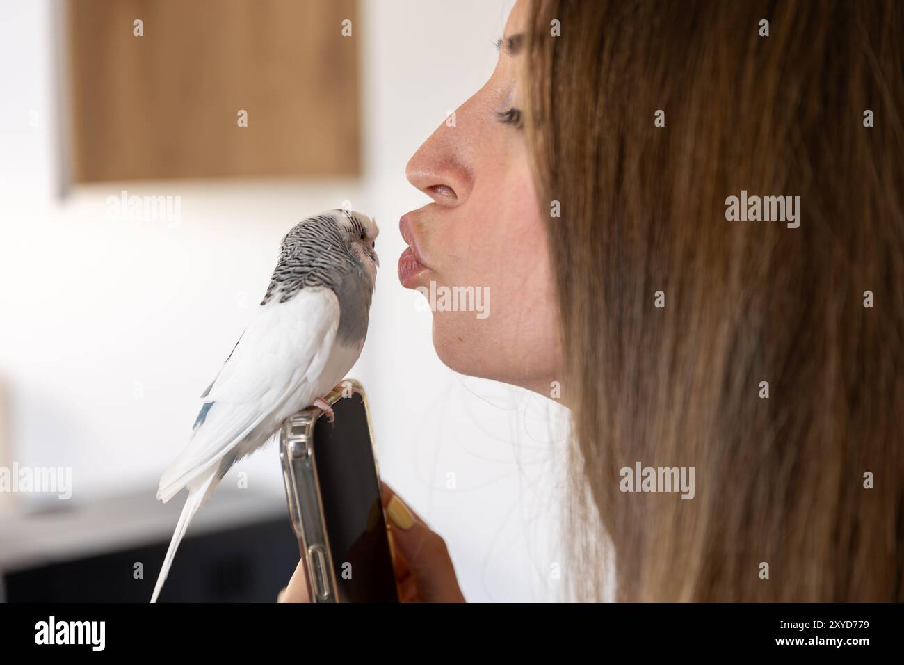 Une belle fille tient un perroquet sur sa main et l'embrasse. Banque D'Images