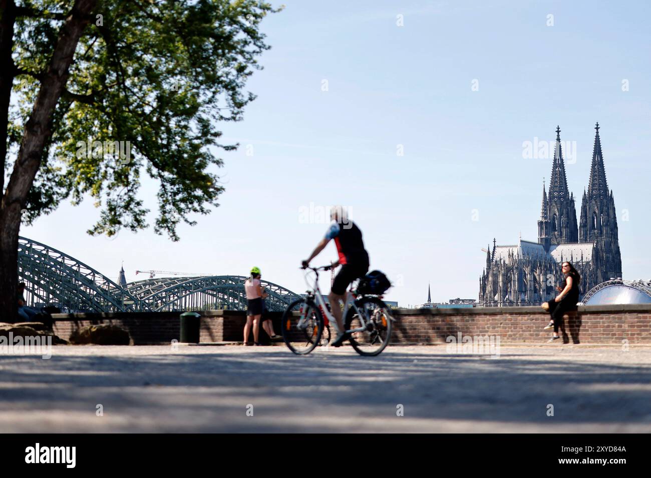 Der Kölner Dom gesehen im Sommer von der rechten Rheinseite Deutz aus. Themenbild, Symbolbild Köln, 27.08.2024 NRW Deutschland *** Cathédrale de Cologne vue en été de la rive droite du Rhin, Deutz image thématique, image symbolique Cologne, 27 08 2024 NRW Allemagne Copyright : xChristophxHardtx Banque D'Images