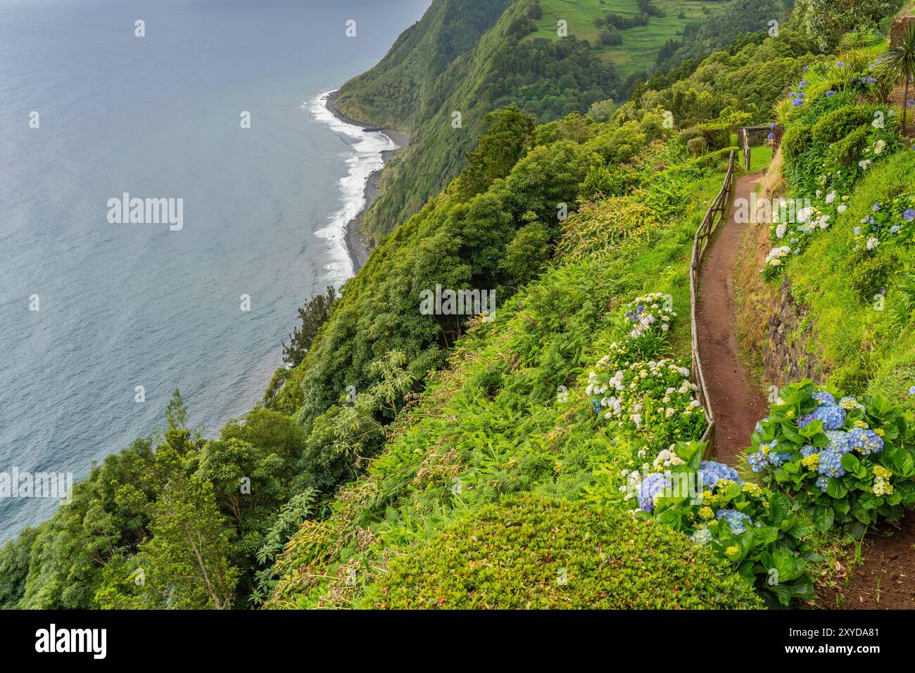ViewPoint Ponta do Sossego, île de Sao Miguel. Vue de fleurs sur une montagne et l'océan à Miradouro da Ponta do Sossego Nordeste, Banque D'Images