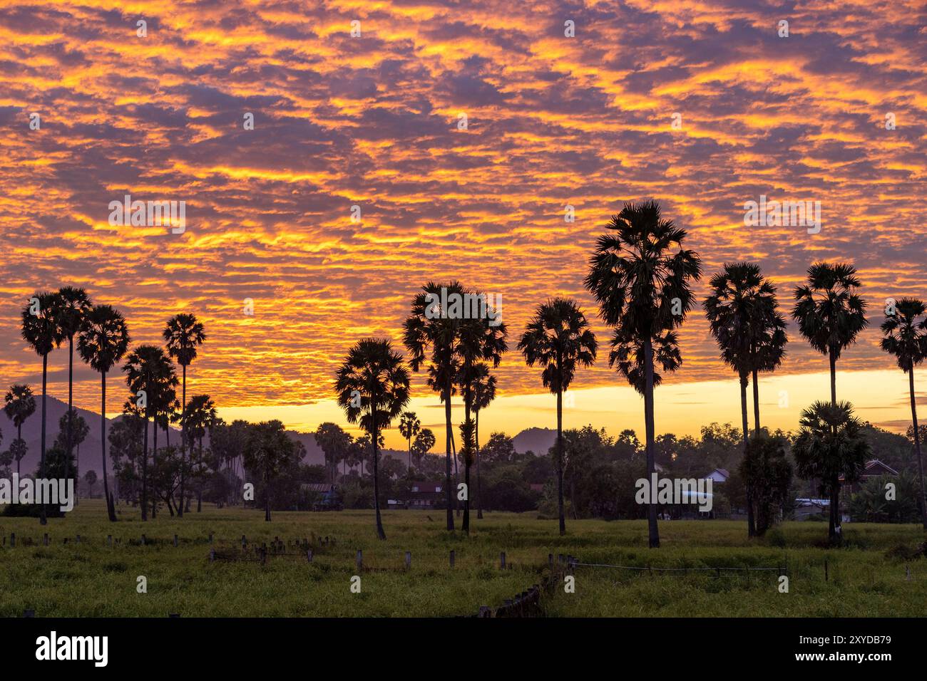 Coucher de soleil à Kampong Chhnang, Cambodge. Banque D'Images