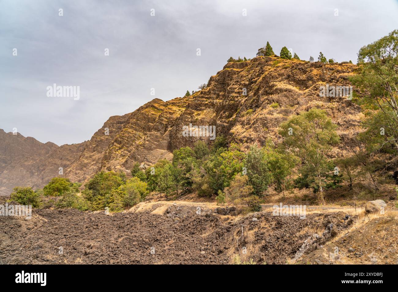 Cratère Pico do Fogo avec arbres et montagne au village viticole Cha das Caldeiras, île de Fogo au Cap-Vert Banque D'Images