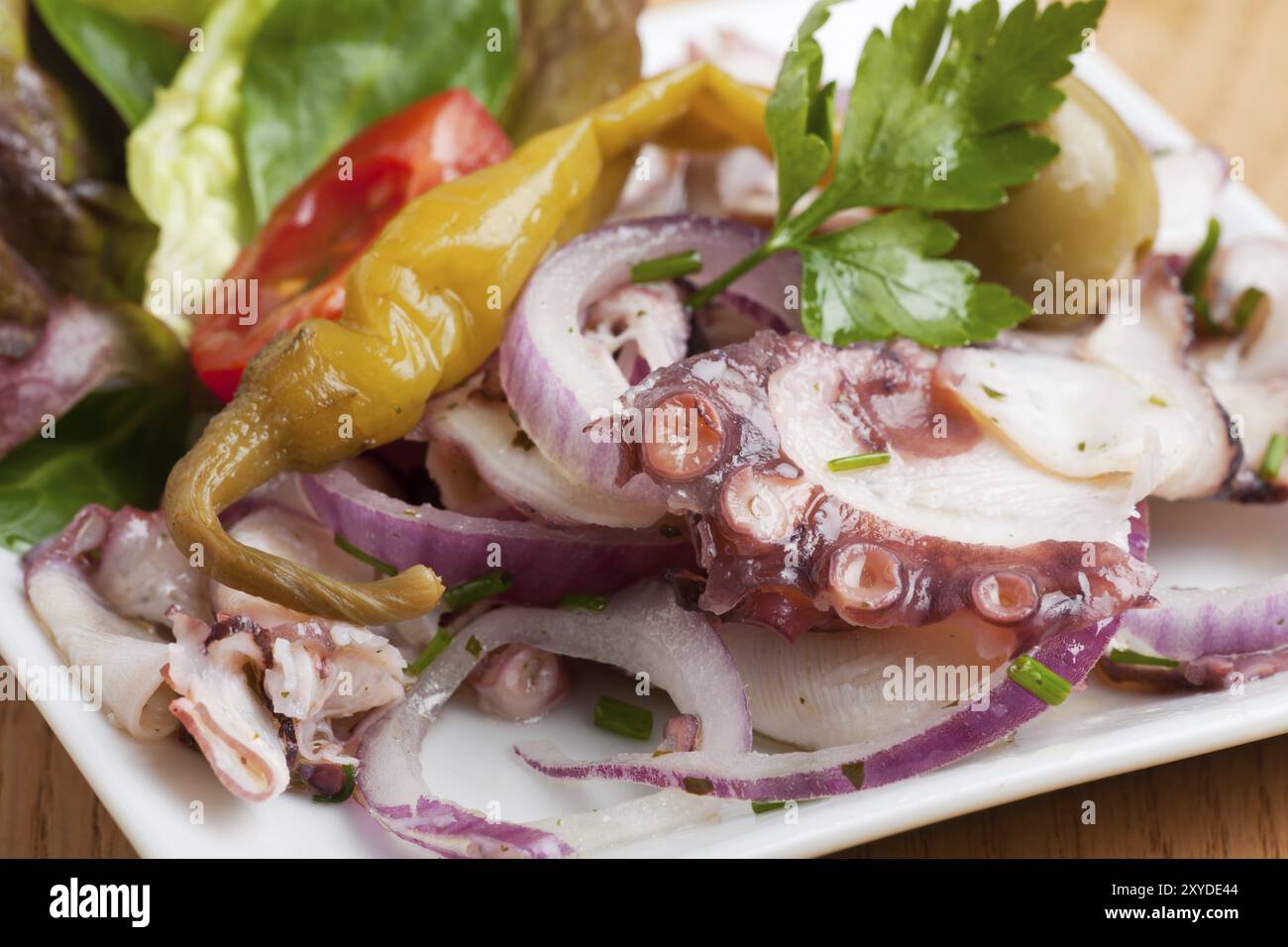 Salade de poulpe avec oignon Banque D'Images