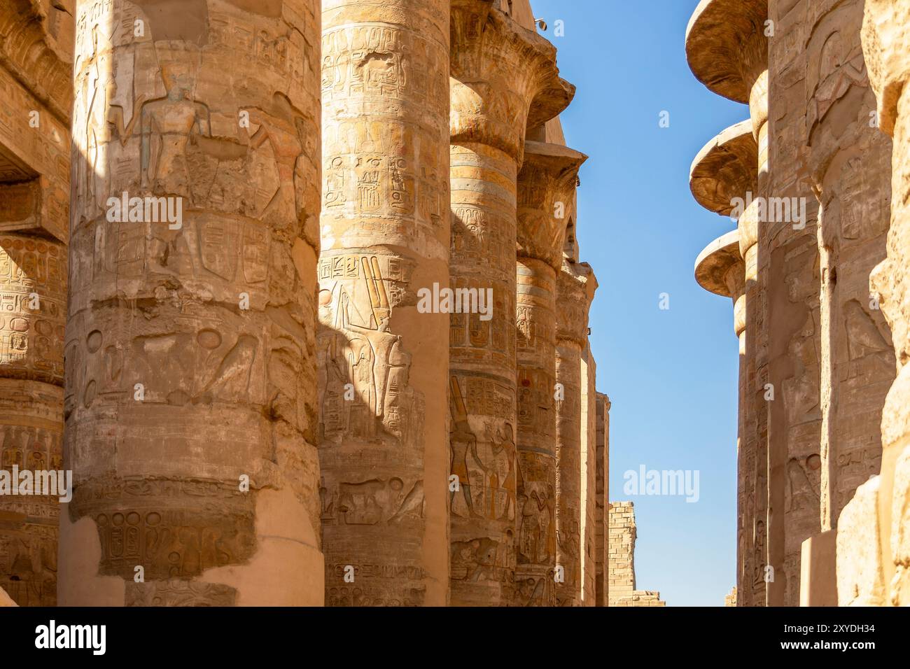 Admirez la majesté de l'Égypte ancienne dans la salle des colonnes de Karnak, où des centaines de piliers imposants créent une vue à couper le souffle qui s'est tenue Banque D'Images