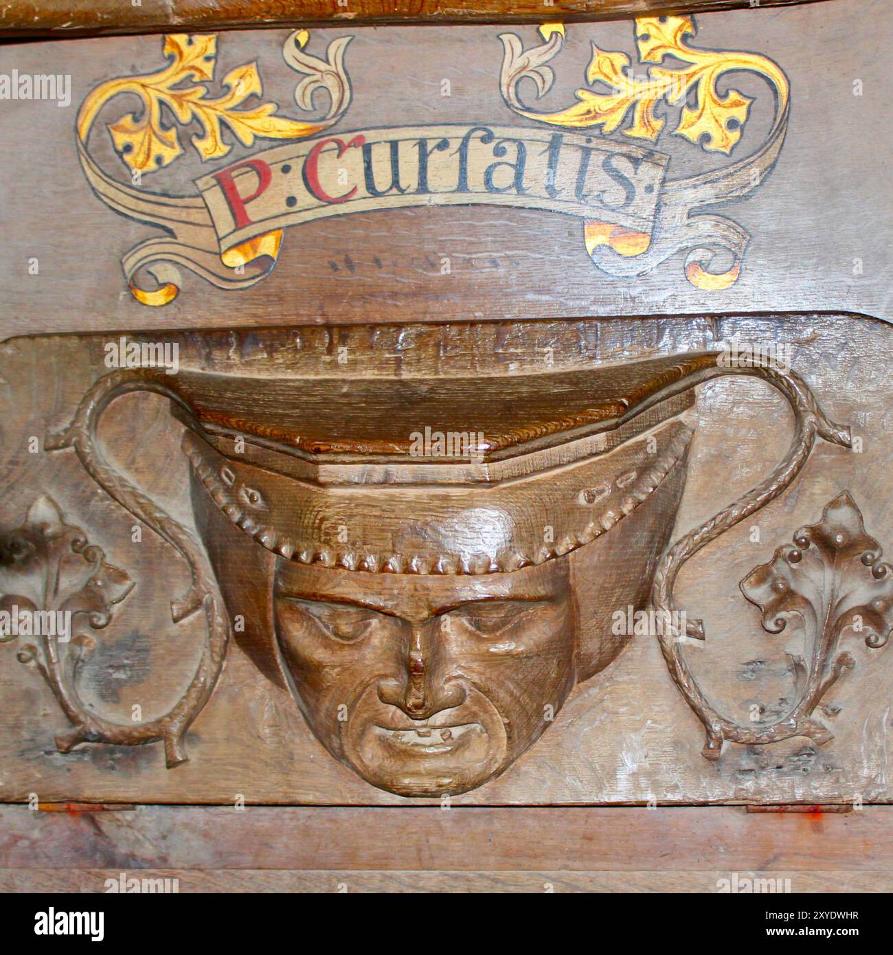 St Davids Cathedral, Pembrokeshire National Park, Wales, Cymru, Royaume-Uni, Royaume-Uni - Misericord Banque D'Images