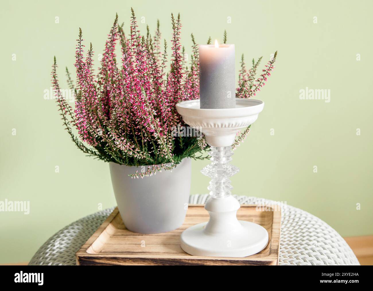 Fleur de bruyère de couleur rose Calluna vulgaris dans un pot de fleur blanc avec bougeoir blanc, bougie brûlante. Concept d'espace de vie d'automne confortable. Banque D'Images