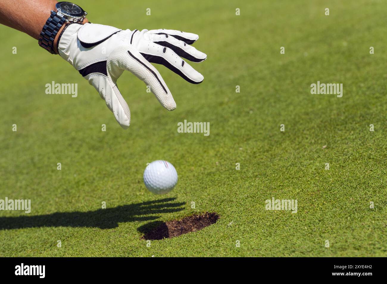 Main avec le gant blanc laisse tomber la balle de golf dans le trou Banque D'Images