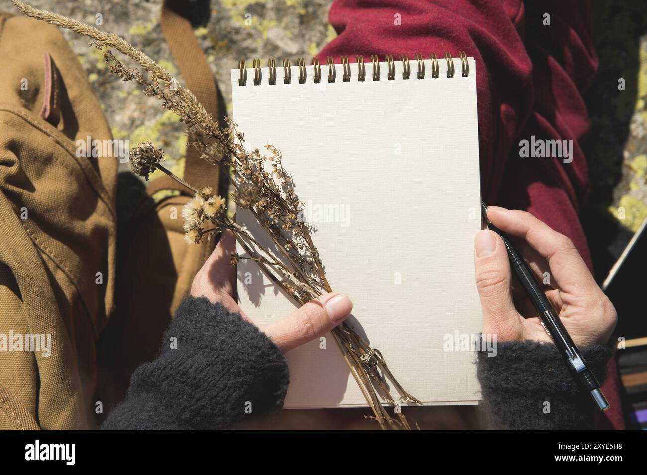 Gros plan sur les mains d'une fille tenant un cahier vierge. Un bouquet sec d'herbes dans sa main et un crayon. Artiste designer de voyages Banque D'Images