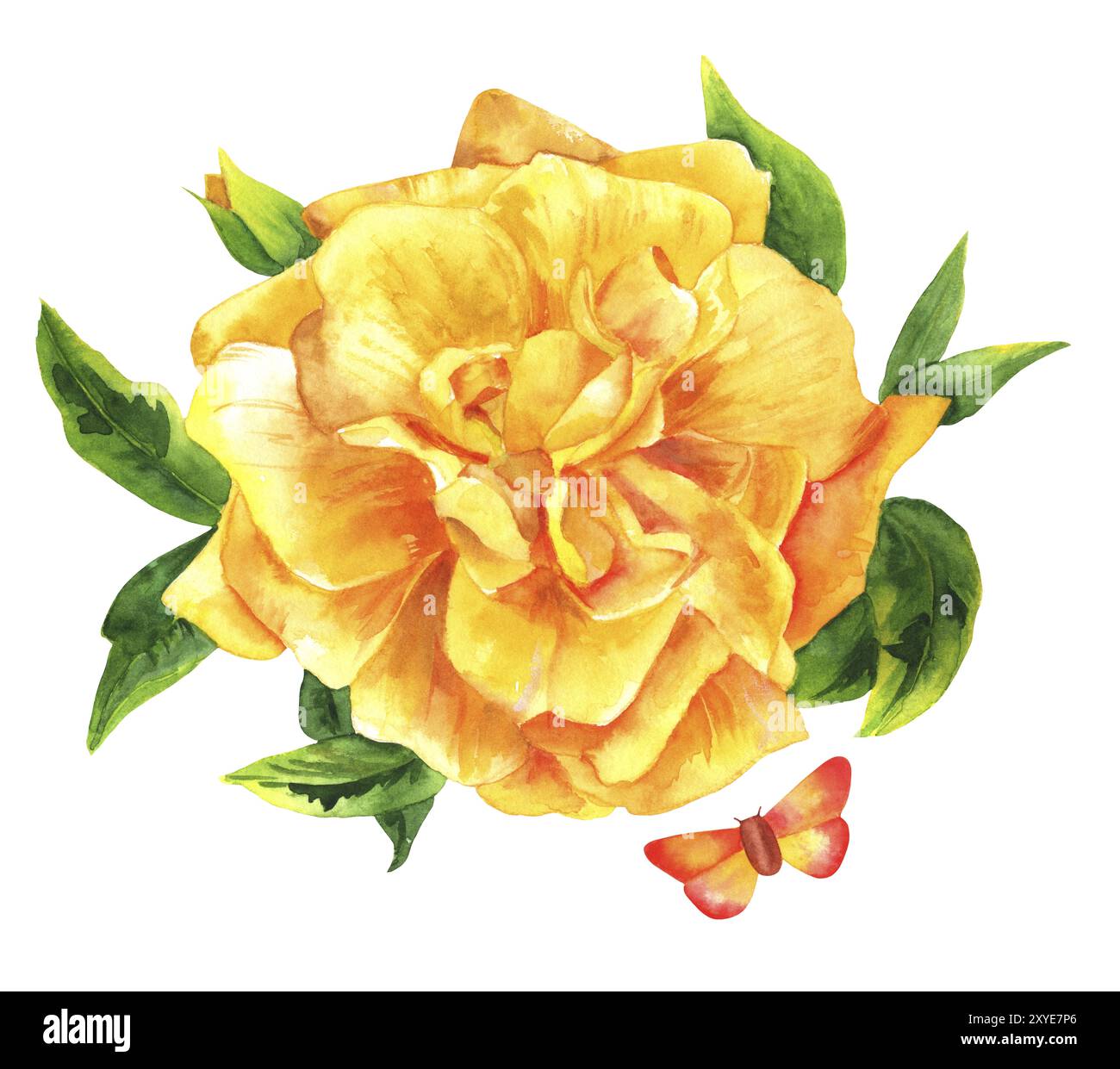 Aquarelle Dessin animé de rose jaune fleur avec un papillon, isolé sur blanc, la main a peint dans le style de l'art botanique e décoration vintage Banque D'Images