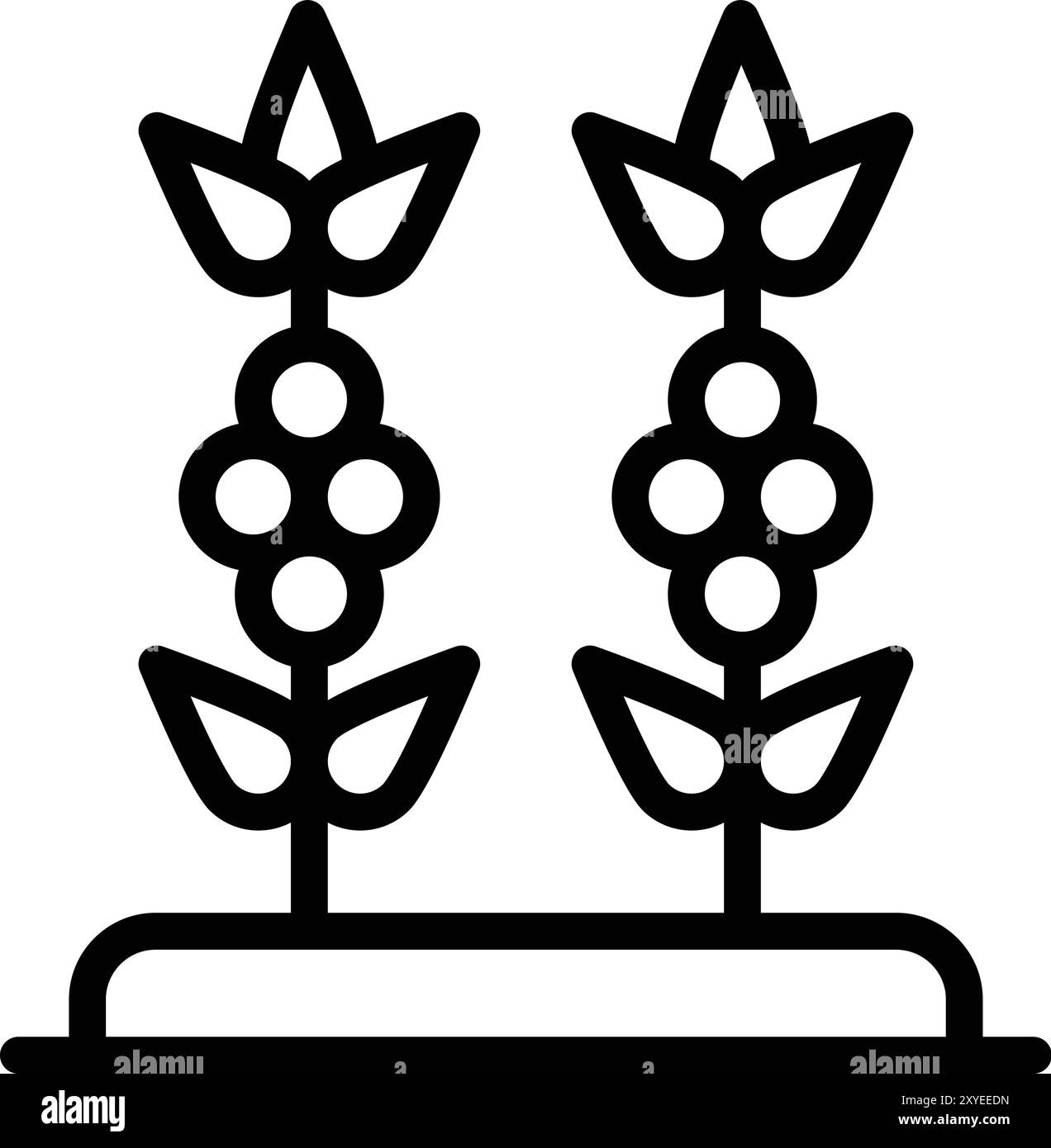 Illustration de conception d'icône de vecteur de plante de café Illustration de Vecteur