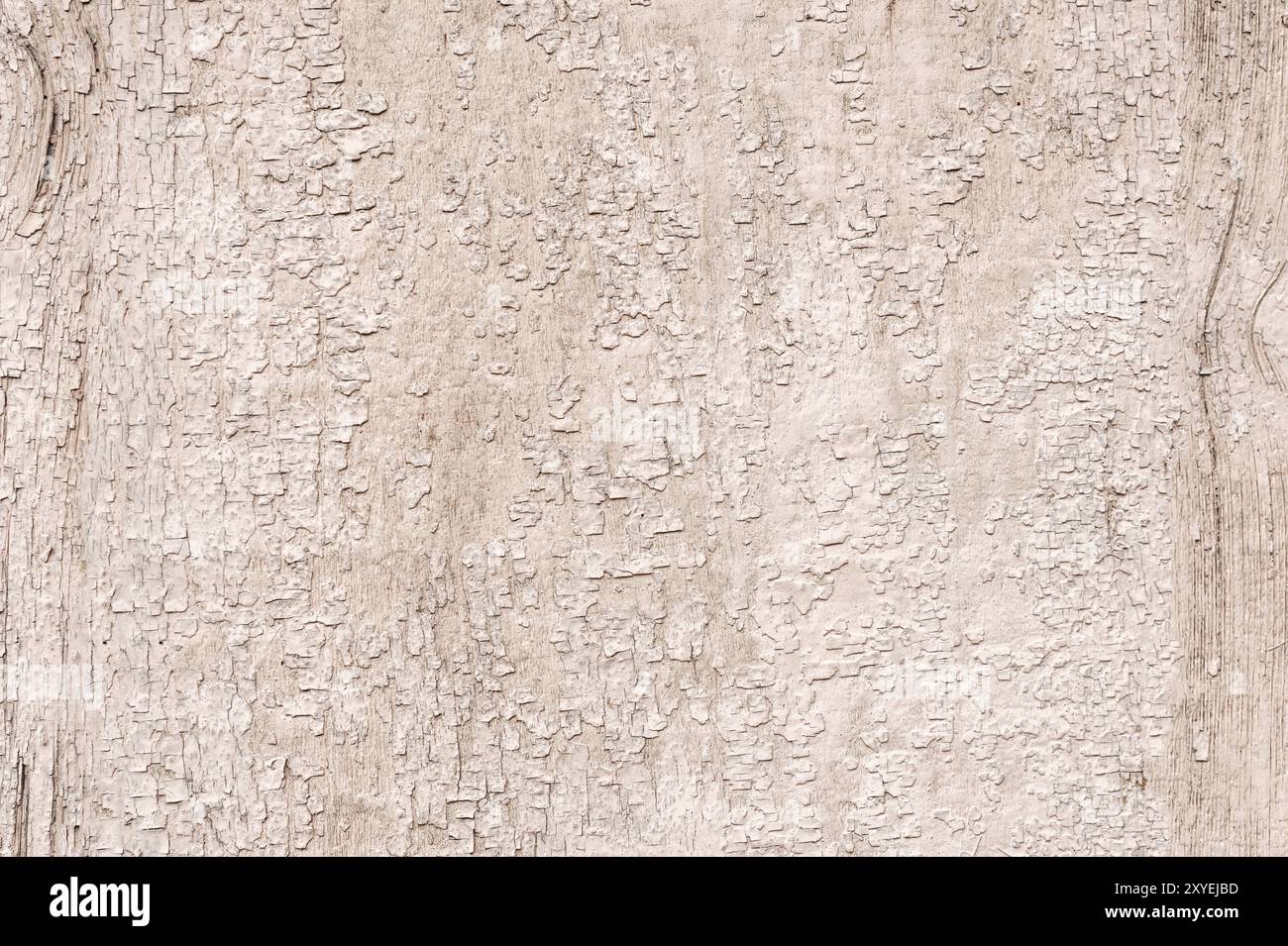 Surface en bois à fond texturé peinte avec peinture à émulsion d'eau avec de petites fissures dans le temps. Arrière-plan rustique Banque D'Images