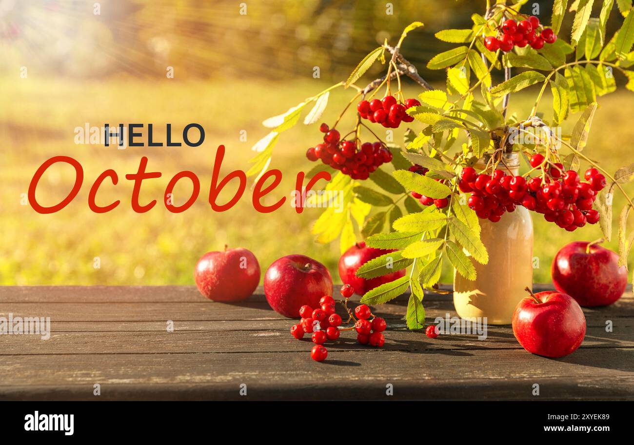 Bonjour octobre. Paysage de campagne avec des branches de rowan et des pommes rouges au soleil. Fond de saison d'automne Banque D'Images