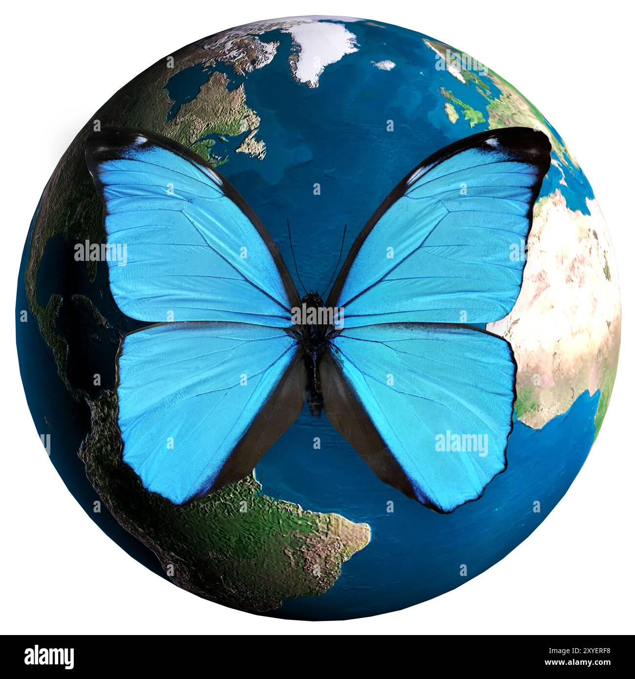 Papillon Morpho bleu assis sur le dessus du globe terrestre modèle 3D photo-illustration conceptuelle concept d'environnement et d'écologie isolé sur blanc Banque D'Images