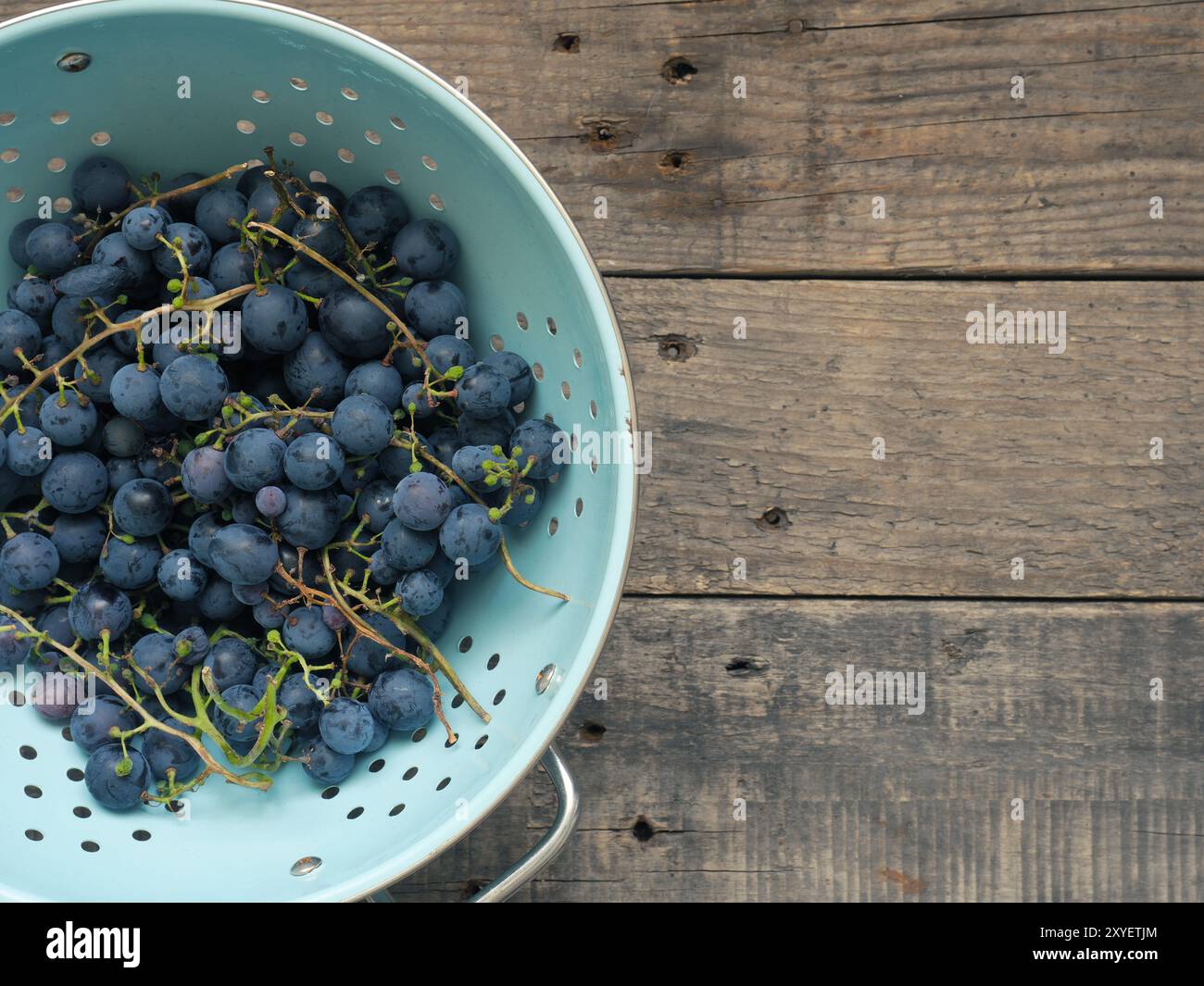 Les raisins frais biologiques dans une passoire vintage sur une table de cuisine en bois rustique Banque D'Images