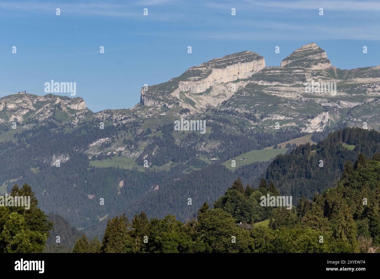 Sommet de la Berneuse et domaine skiable en été vu de l'est à vers l'Eglise, Ormont-dessus, Suisse. Copier l'espace. Banque D'Images