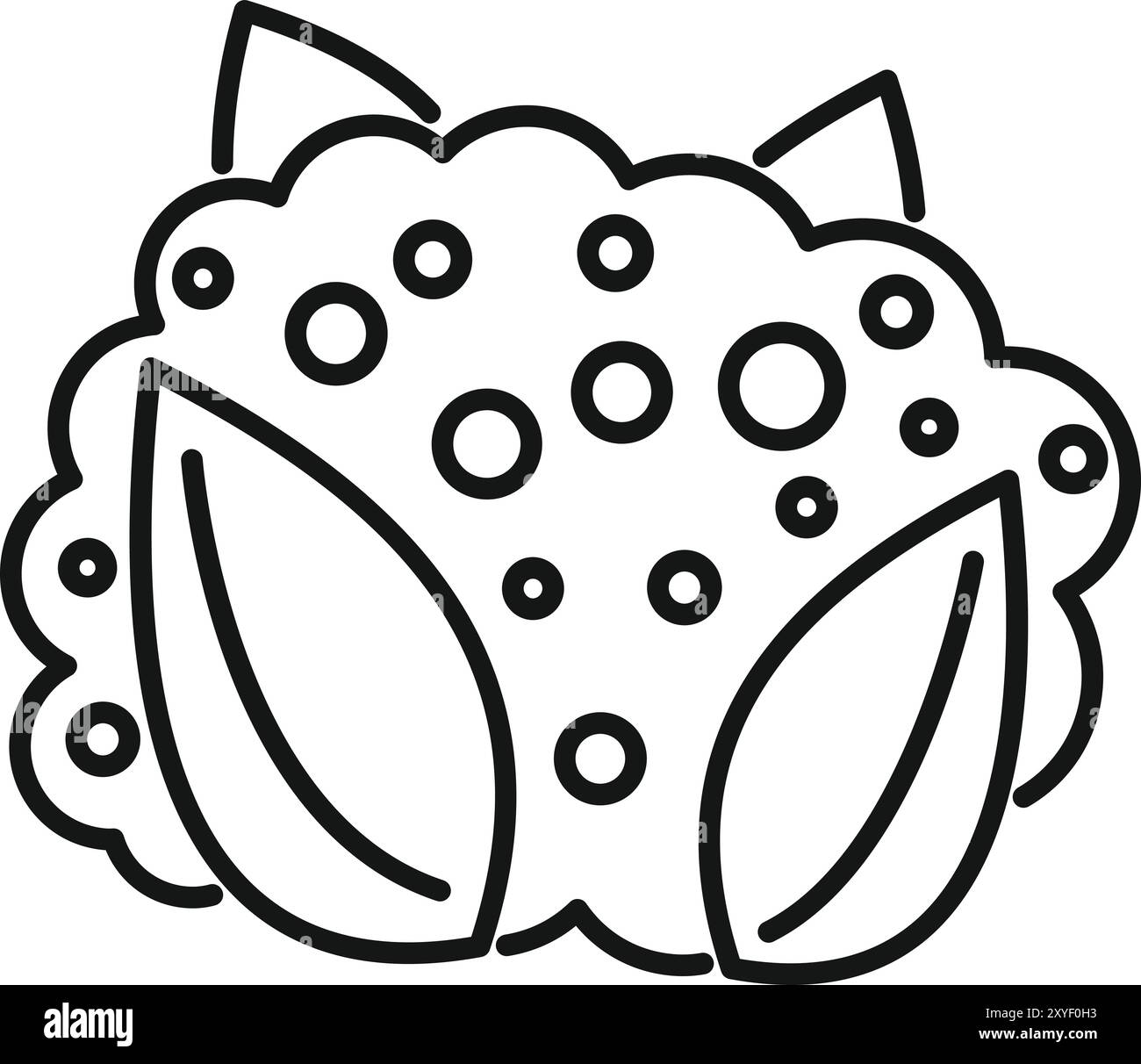 Le chou pousse sur le sol et forme une grosse tête avec de grandes feuilles Illustration de Vecteur