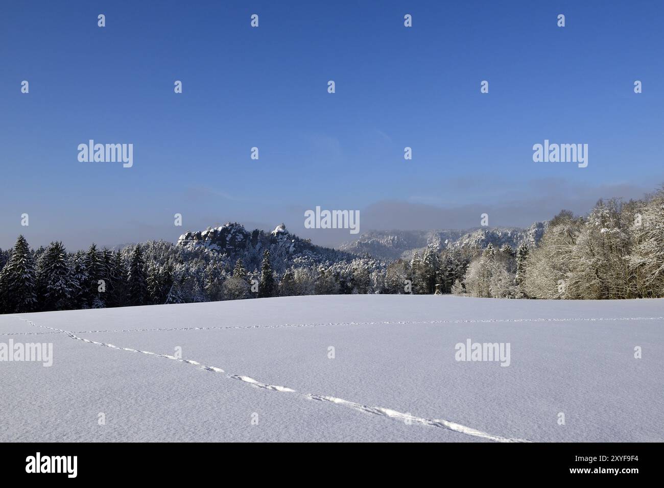 Vue sur Gamrig en Suisse saxonne, vue sur Gamrig en Suisse saxonne Banque D'Images