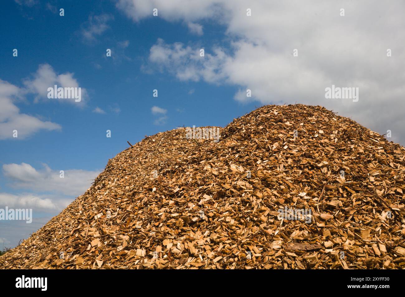 Pile de copeaux de bois près d'Ulfborg et Holstebro dans le Jutland Danemark Banque D'Images