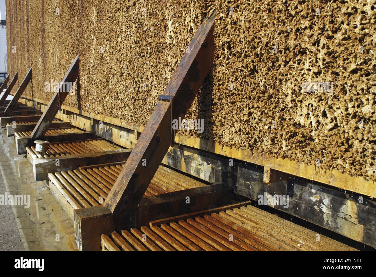 Maison de remise des diplômes à Bad Salzuflen Banque D'Images