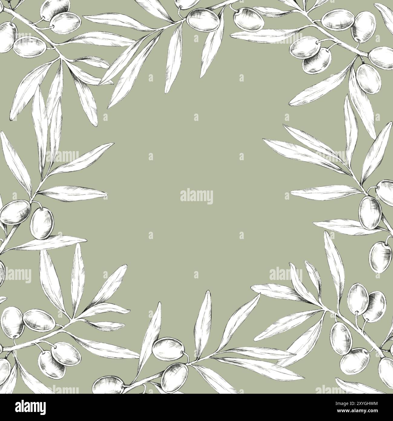 Branches d'olivier disposées dans une bordure carrée sur un fond vert sourd, avec des olives et des feuilles détaillées. Clipart de dessin au crayon pour l'huile d'olive, les savons naturels et les produits de soin écologiques Banque D'Images
