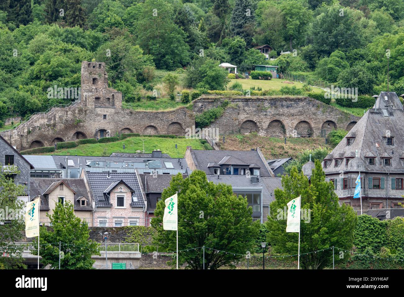 Forteresse Rheinfels vue depuis le Rhin en Allemagne Banque D'Images