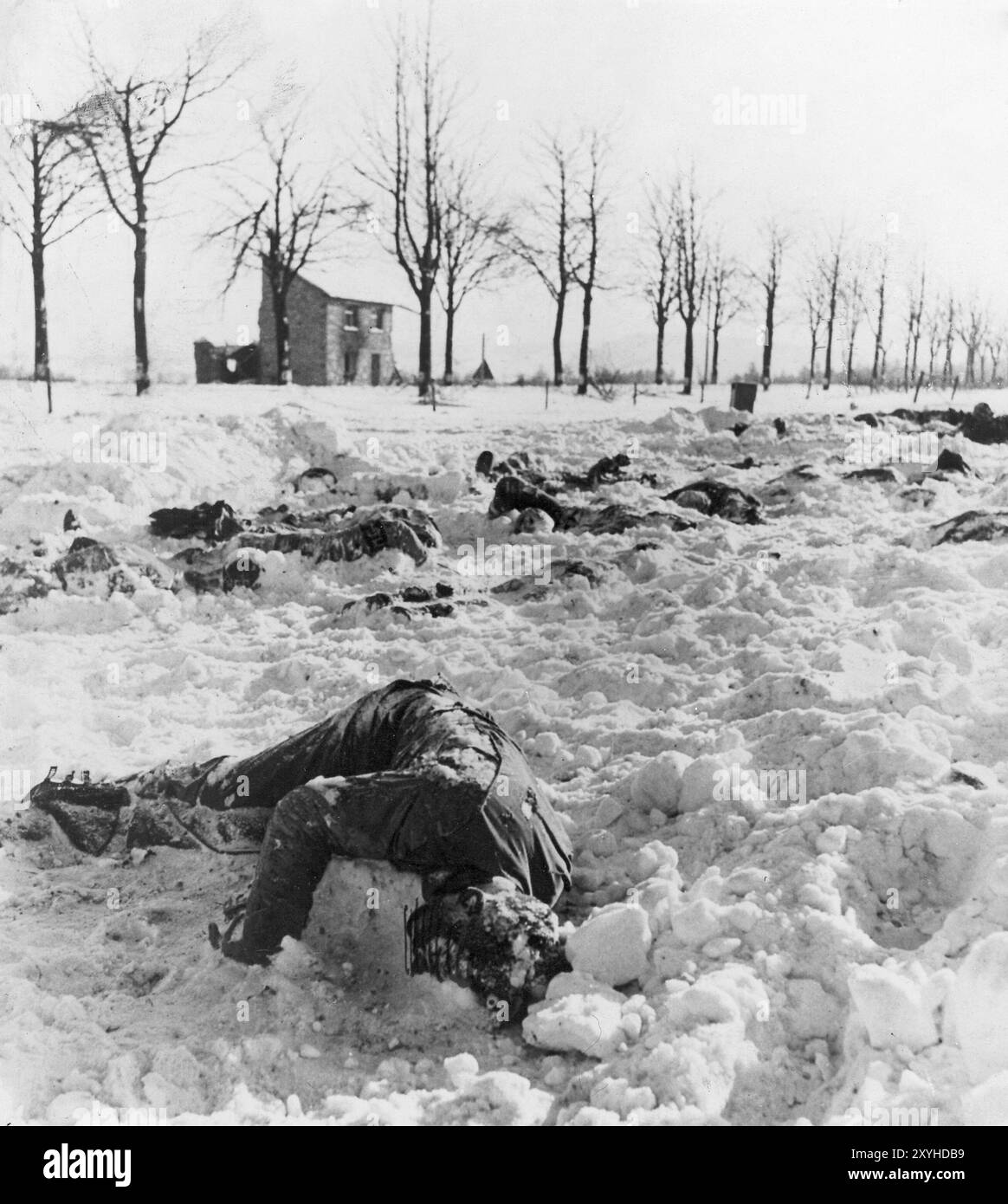 Cadavres de soldats américains tués par les SS dans l'atrocité de Malmedy . Le massacre de Malmedy a été l'exécution sommeuse de 84 soldats américains capturés par la Waffen-SS. Le massacre a lieu le 17 décembre 1944 lors de l'offensive allemande dans les Ardennes, alias la bataille des Ardennes. Banque D'Images