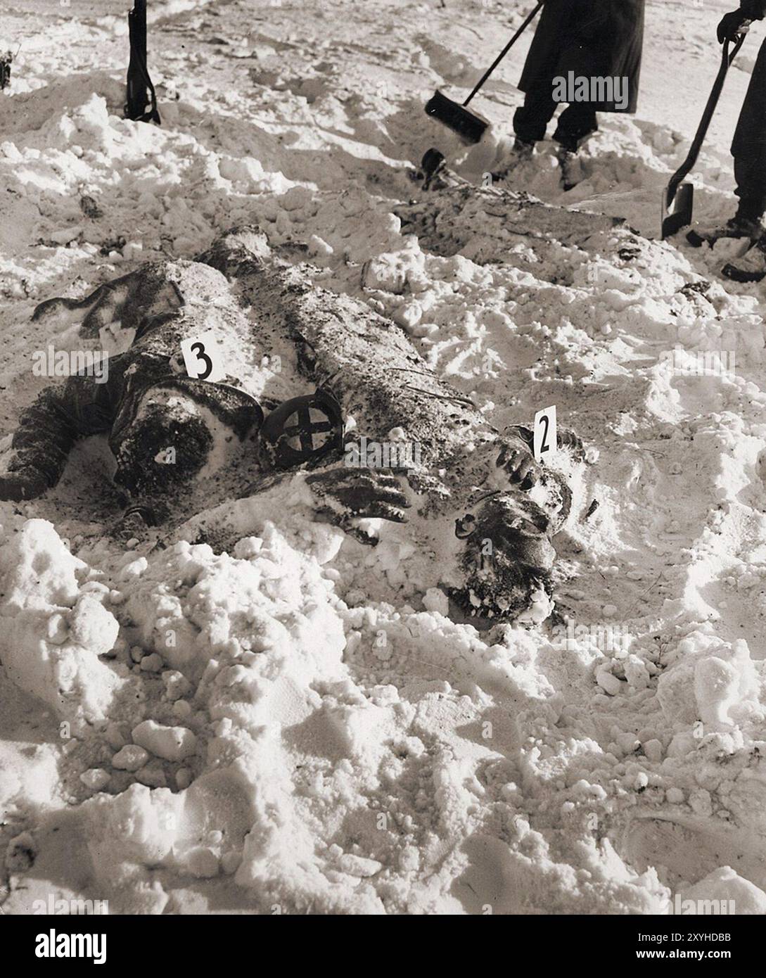 Des cadavres de soldats américains tués par les SS dans l'atrocité de Malmedy et identifiés par leur numéro se trouvent dans la neige. Le massacre de Malmedy a été l'exécution sommeuse de 84 soldats américains capturés par la Waffen-SS. Le massacre a lieu le 17 décembre 1944 lors de l'offensive allemande dans les Ardennes, alias la bataille des Ardennes. Banque D'Images