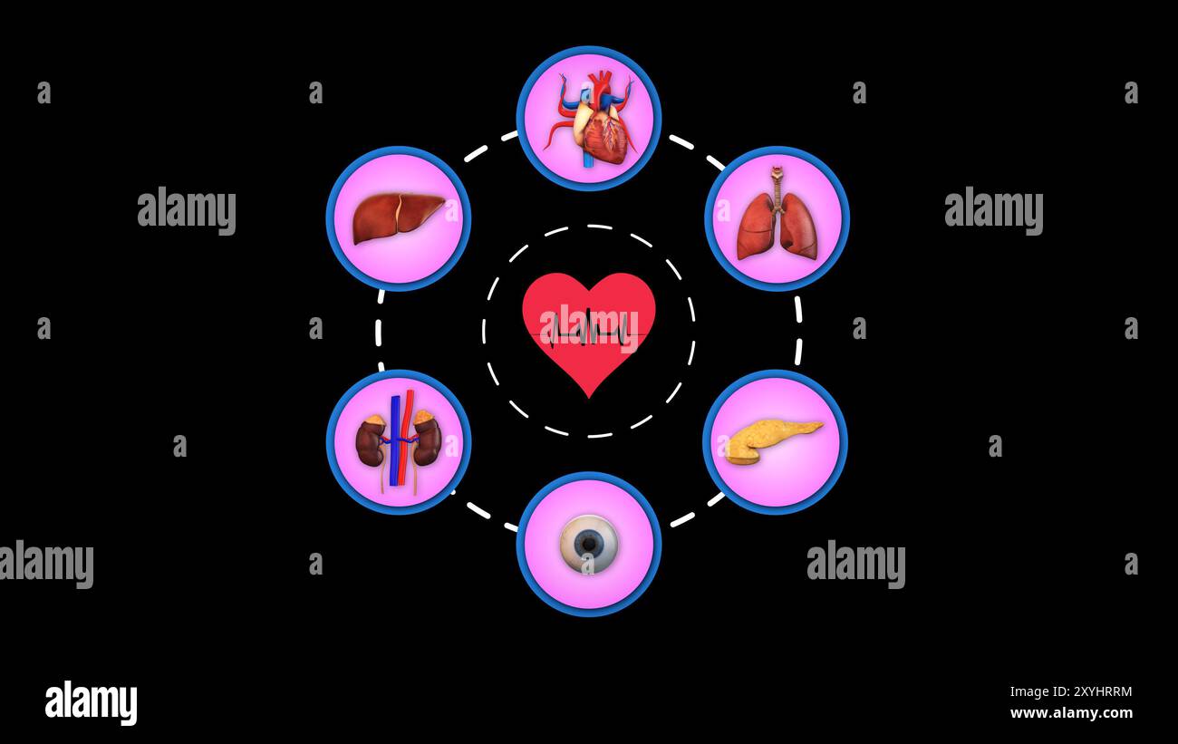 Concept d'innovation médicale des organes humains Banque D'Images