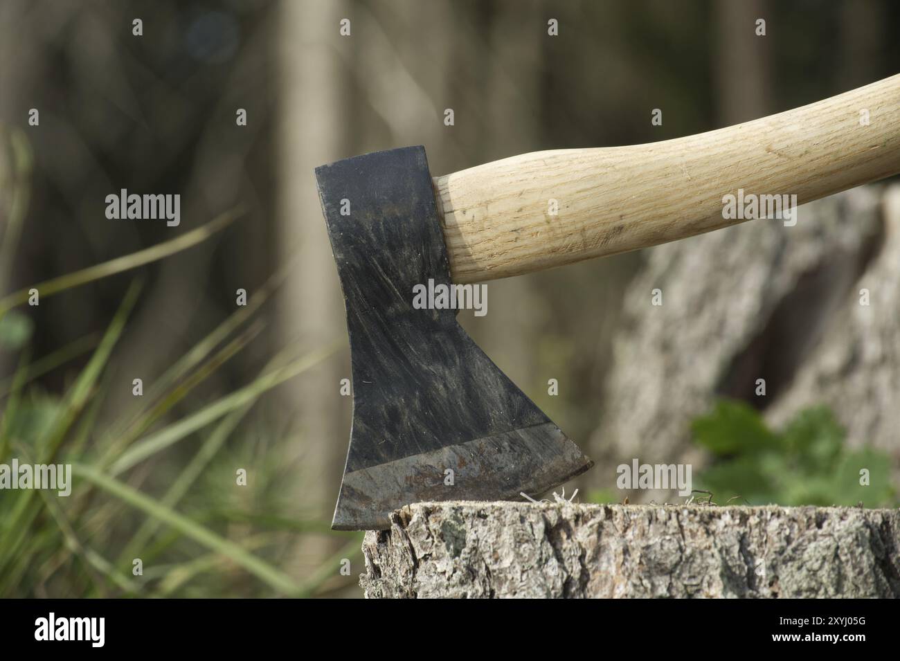 Hache ou hachette coincée dans une souche d'arbre en arrière-plan d'une forêt abattue. Protection de la nature, déforestation ou défrichement forestier Banque D'Images