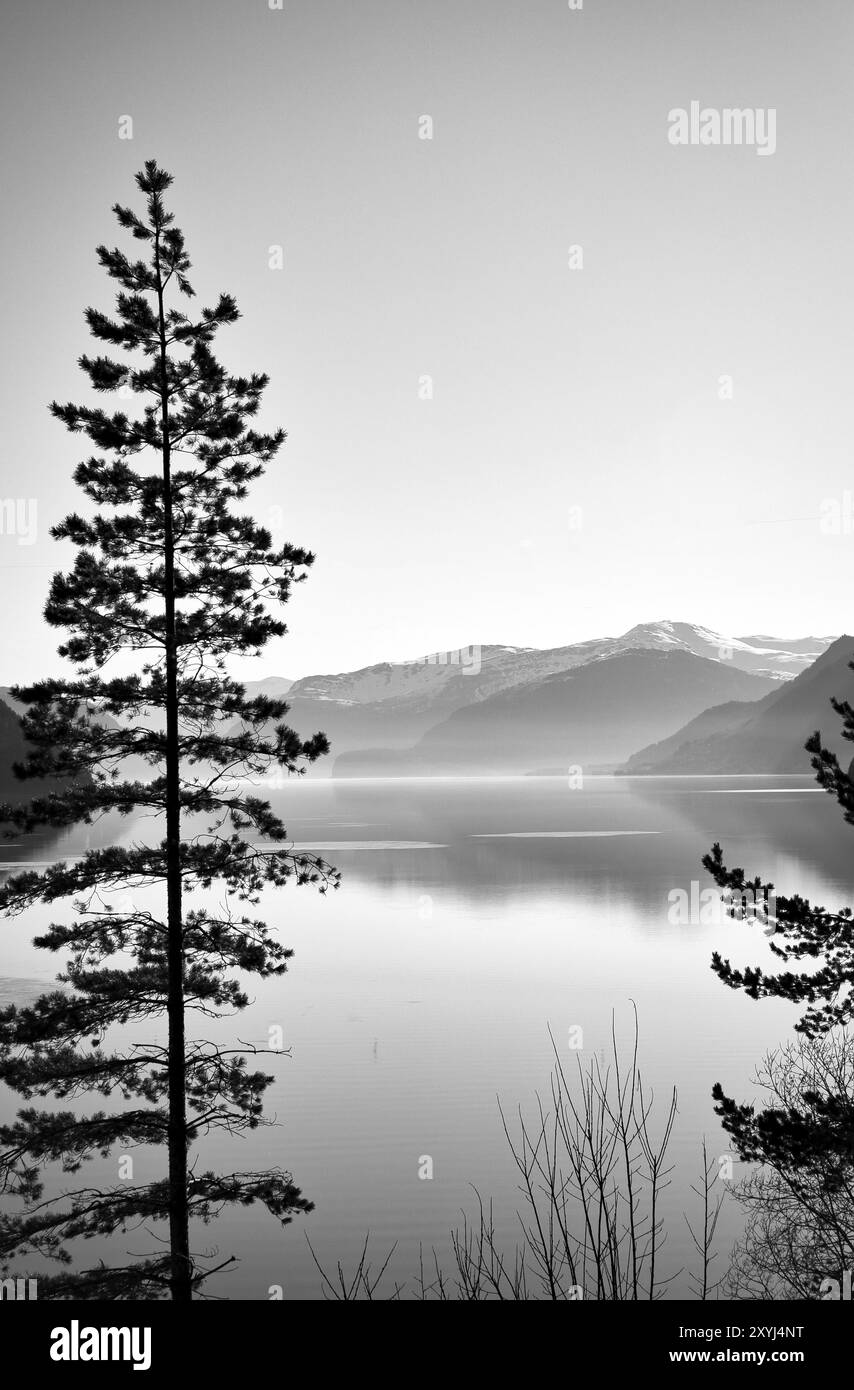 Vue sur le lac Oppstrynsvatnet en Norvège le matin en noir et blanc. Des montagnes enneigées en arrière-plan. Eau calme dans le lac de montagne. Réseau local Banque D'Images