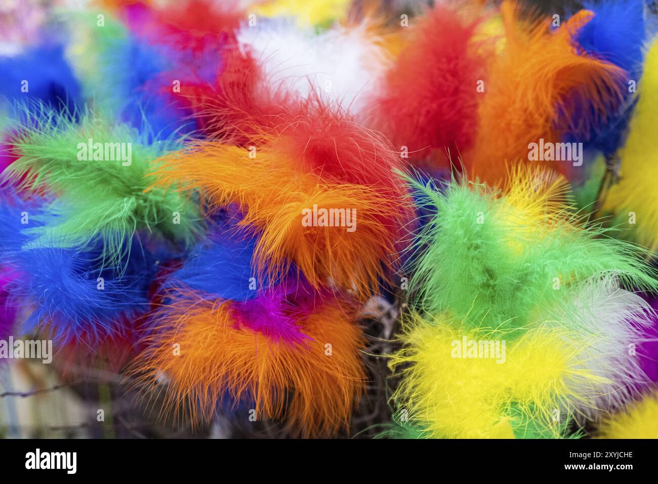 Bleu rouge jaune vert et plumes orange Banque D'Images