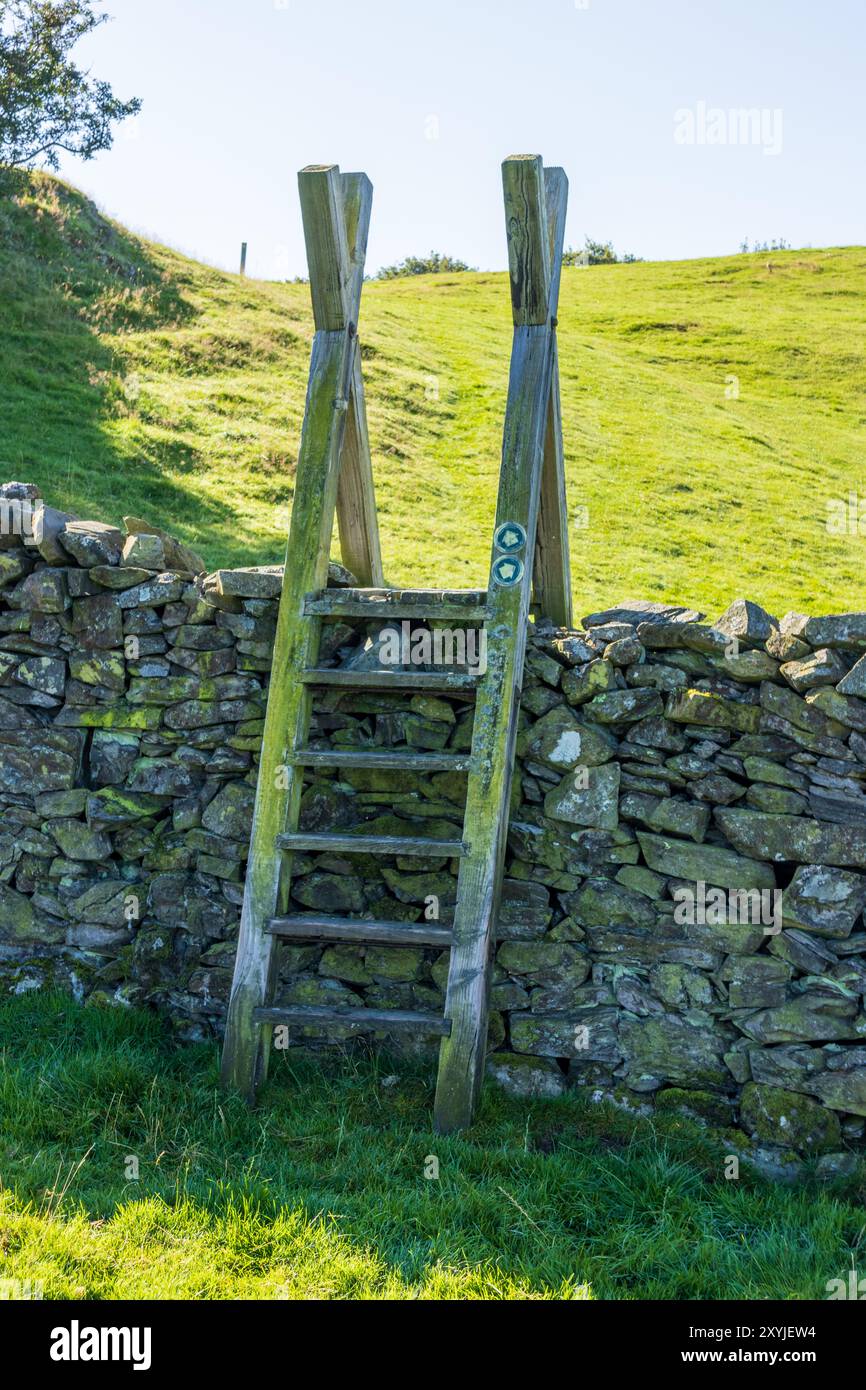 Un vieux stile en bois au-dessus d'un mur traditionnel de pierre sèche dans un champ dans le parc national du Lake District en Angleterre par un matin ensoleillé d'été. Banque D'Images