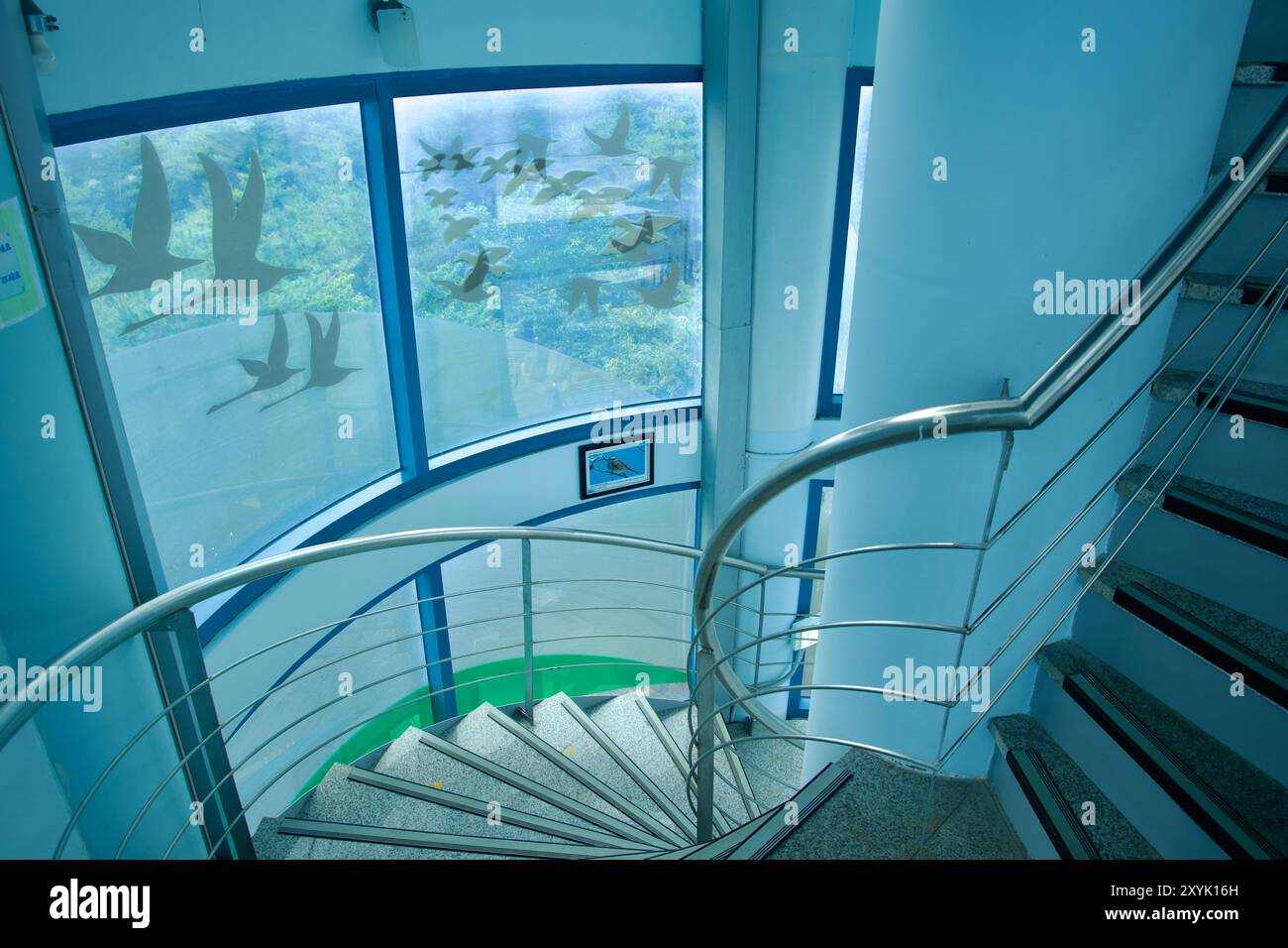 Comté de Goseong, Corée du Sud - 28 juillet 2024 : un escalier en colimaçon à l'intérieur de la tour du réseau d'oiseaux migrateurs de Songjiho, avec des silhouettes d'oiseaux sur le windo Banque D'Images