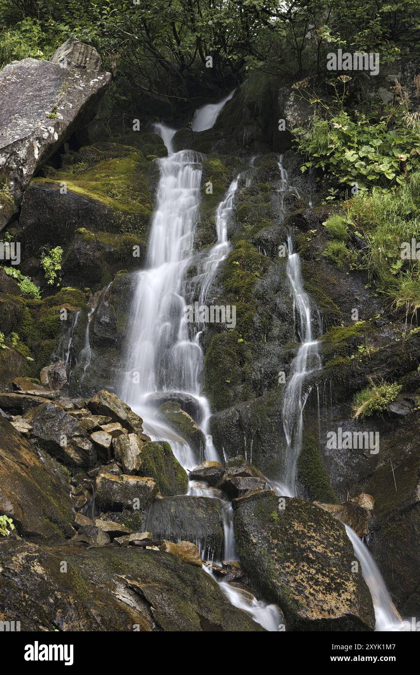 Cascade de montagne. Montagnes des Carpates, Ukraine, Europe Banque D'Images