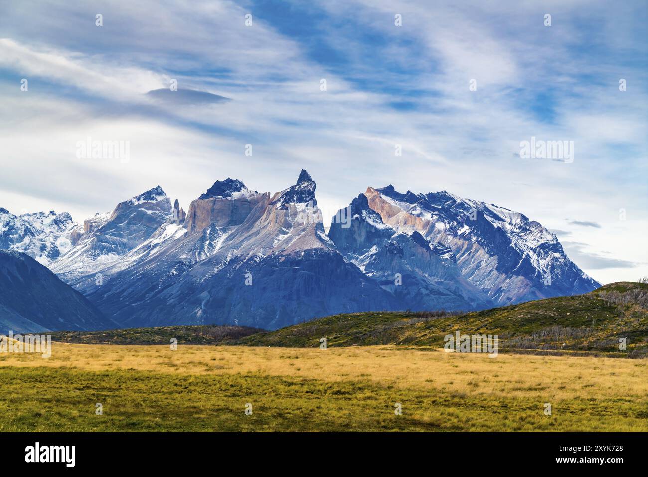 Vue sur la magnifique montagne et grand pâturage au Parc National Torres del Paine au Chili Banque D'Images