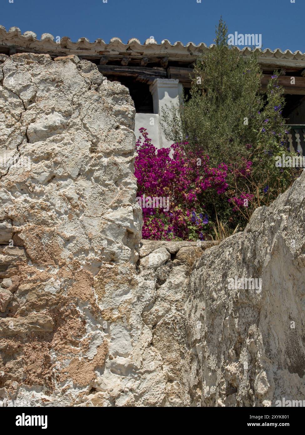 Mur délabré avec des plantes à fleurs à côté d'un bâtiment abandonné, ibiza, mer méditerranée, espagne Banque D'Images