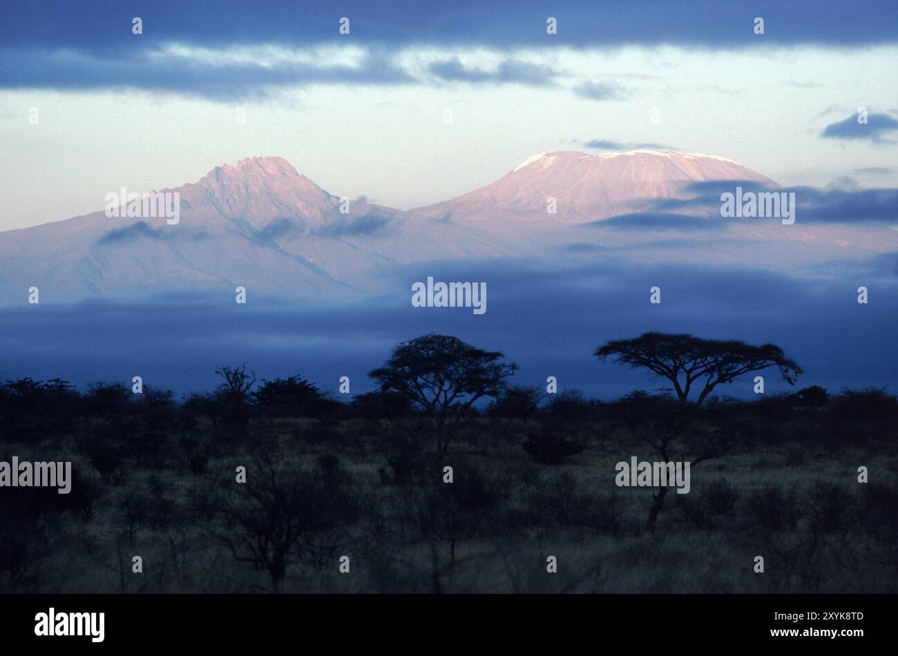 Mt. Kilimanjaro Banque D'Images