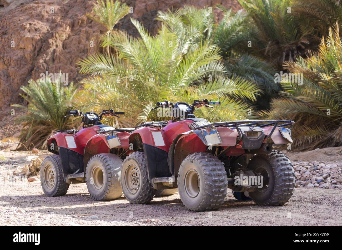 Véhicule tout-terrain à quatre roues quad dans le désert sur fond de palmiers et de rochers de pierre en Egypte Dahab Banque D'Images Véhicule tout-terrain à quatre roues quad dans le désert sur fond de palmiers et de rochers de pierre en Egypte Dahab Banque D'Images