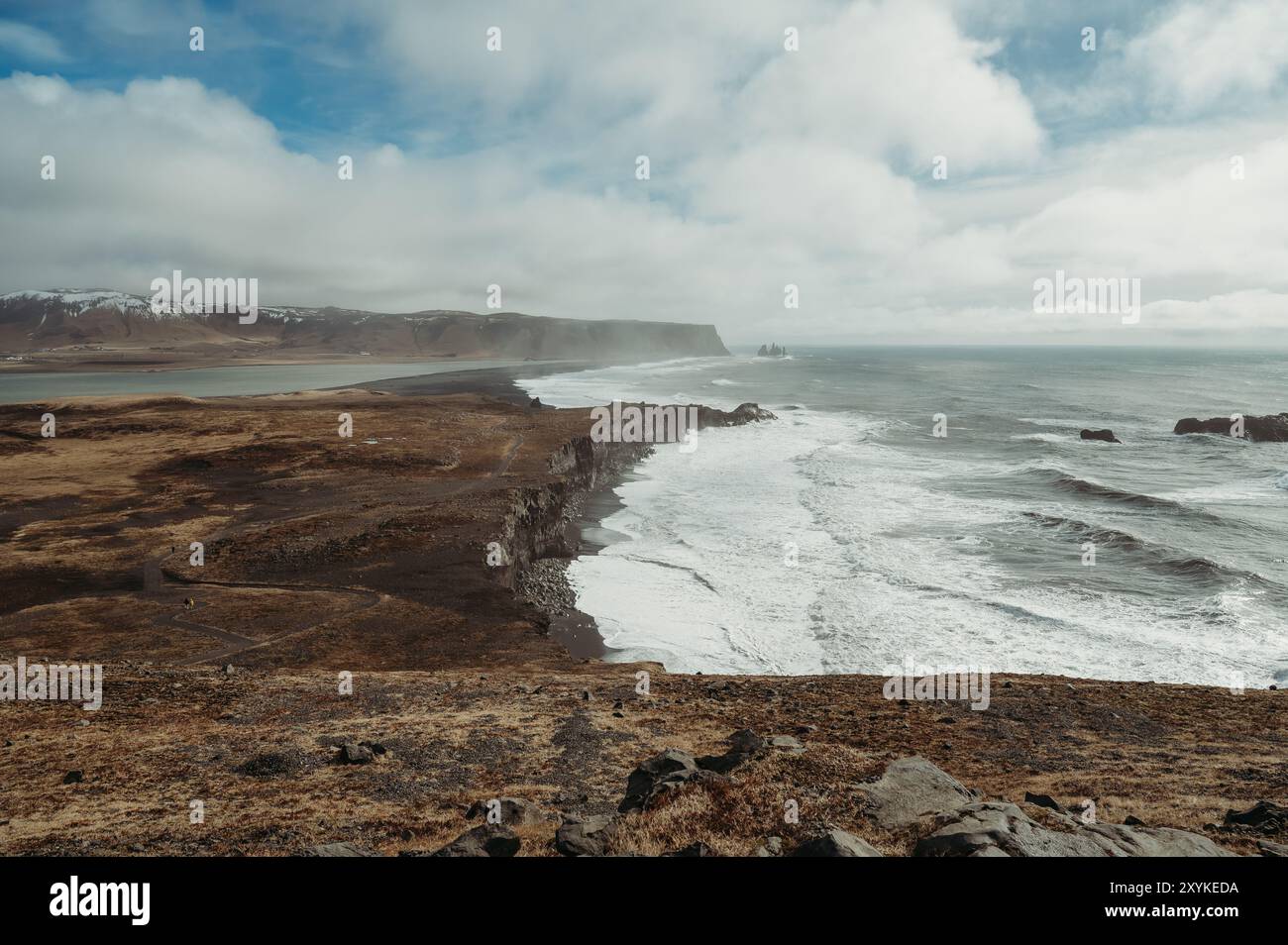 Vue sur l'océan sauvage et les falaises à Reynisfjara, Islande, au printemps Banque D'Images