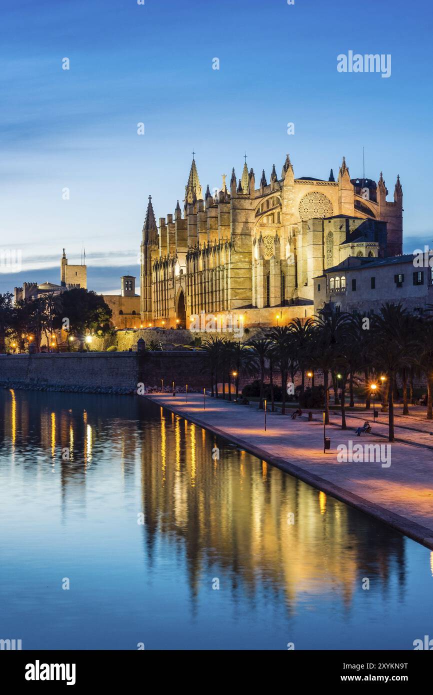Catedral de Mallorca, Catedral-Basilica de Santa Maria, siglo XIV, Monumento Historico-artistico, Palma de Majorque, Majorque, îles baléares, espagne Banque D'Images