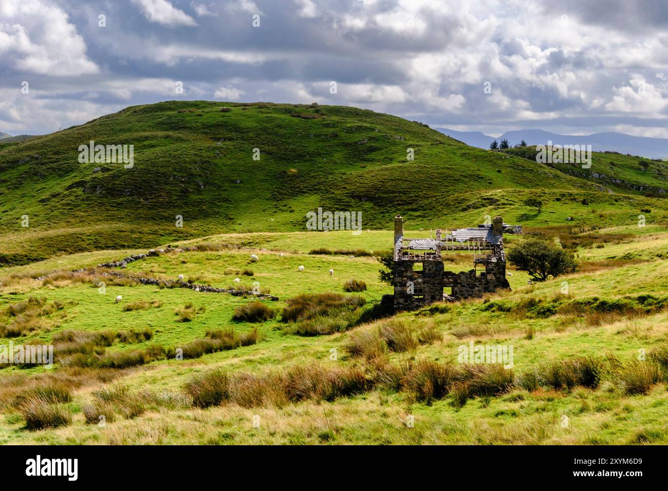 Maison de ferme en pierre abandonnée sur une colline au-dessus de Cwm Pennant dans la campagne de Snowdonia. Llanfihangel-y-Pennant, Porthmadog, Gwynedd, nord du pays de Galles, Royaume-Uni Banque D'Images