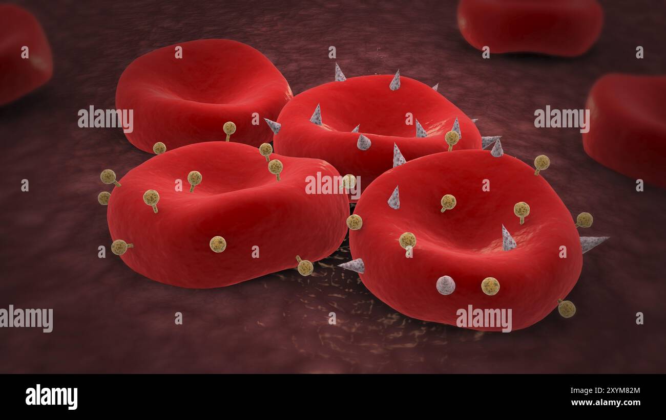 Globules rouges avec antigènes Banque D'Images