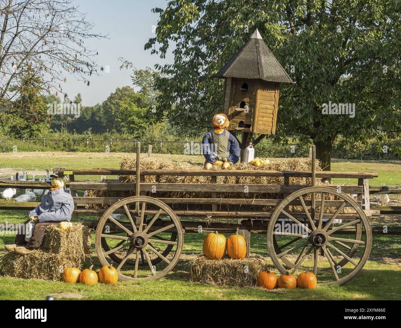 Un vieux wagon en bois décoré de citrouilles et de figures d'automne à l'extérieur, borken, muensterland, Allemagne, Europe Banque D'Images